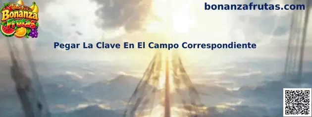Pegar La Clave En El Campo Correspondiente
