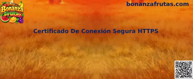 Certificado De Conexión Segura HTTPS