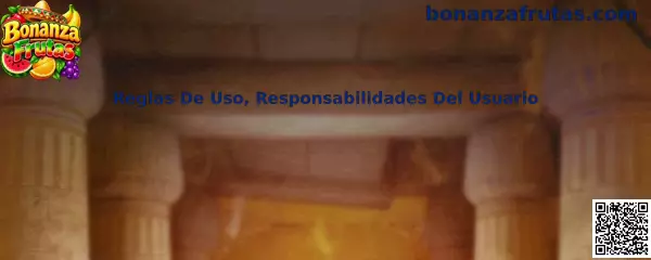 Reglas De Uso y Responsabilidades Del Usuario en Bonanza Frutas
